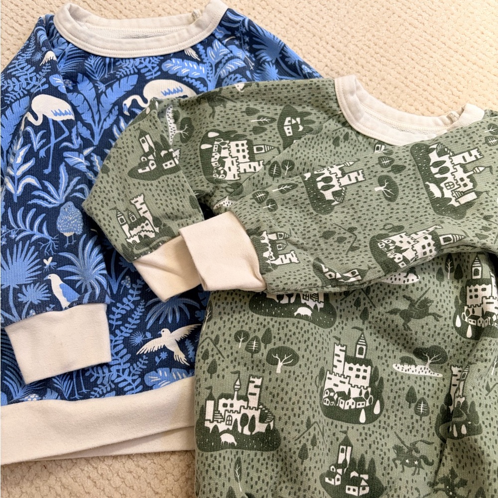 Bundle of 2 kid Sweatshirts EUC - Blue and Green